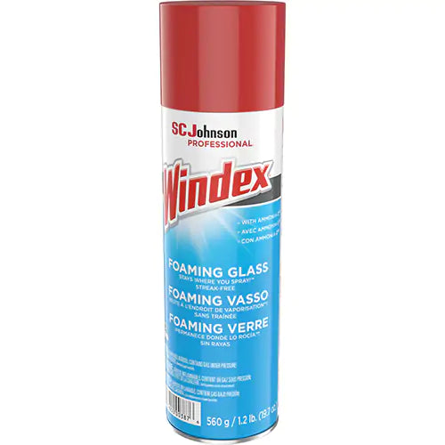 Windex¬Æ (20oz aerosol can)