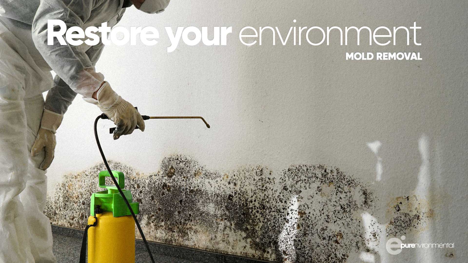Restore Your Environment Mold Removal
